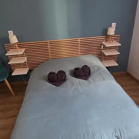 Apartment T3 Cosy Au Pied De La Cathedrale Hyper-centre *