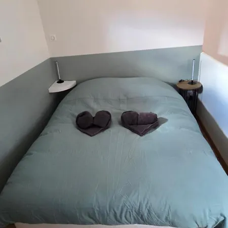 T3 Cosy Au Pied De La Cathedrale Hyper-centre Apartment